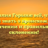 Фамилия Горыня: всё, что вы хотели знать о происхождении, значении и правильном склонении!