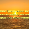 Фамилия Грицкевич: история происхождения, значение и правила склонения