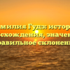 Фамилия Гудз: история происхождения, значение и правильное склонение