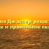 Фамилия Джаспер: родословная, значение и правильное склонение