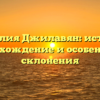 Фамилия Джилавян: история, происхождение и особенности склонения