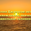 Фамилия Джунусов: история происхождения, значения и правильное склонение