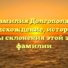 Фамилия Долгополая: происхождение, история и секреты склонения этой звучной фамилии