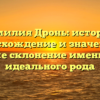 Фамилия Дронь: история, происхождение и значение, а также склонение имени для идеального рода