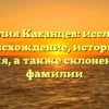 Фамилия Кабанцев: исследуем происхождение, историю и значения, а также склонение этой фамилии