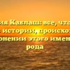 Фамилия Каблаш: все, что нужно знать об истории, происхождении и склонении этого именитого рода