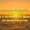 Фамилия Кайде: история, происхождение и значение, узнайте о склонении фамилии и ее особенностях