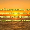 Фамилия Какорин: все, что нужно знать о происхождении, истории и значении этой фамилии, а также правильном склонении