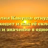 Фамилия Какуша: откуда она происходит и как её склонять? История и значение в одной статье