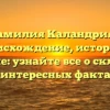Фамилия Каландрия – происхождение, история и значение: узнайте все о склонении и интересных фактах!