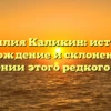 Фамилия Каликин: история, происхождение и склонение – все о значении этого редкого имени