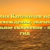 Фамилия Калиничев: история происхождения, значения и правильное склонение – полный гид