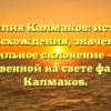 Фамилия Калмаков: история происхождения, значение и правильное склонение – все о единственной на свете фамилии Калмаков.