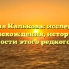 Фамилия Калькова: исследование происхождения, истории и значимости этого редкого имени