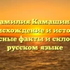 Фамилия Камашина: происхождение и история, интересные факты и склонение в русском языке