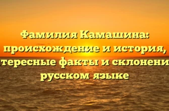 Фамилия Камашина: происхождение и история, интересные факты и склонение в русском языке Фамилия Камашина: происхождение и история, интересные факты и склонение в русском языке