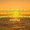 Фамилия Каморин: история, происхождение и значение, а также правила склонения в одной статье