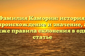 Фамилия Каморин: история, происхождение и значение, а также правила склонения в одной статье Фамилия Каморин: история, происхождение и значение, а также правила склонения в одной статье
