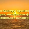 Фамилия Кангуру: происхождение и история, интересные факты и правильное склонение