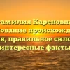 Фамилия Кареновна: исследование происхождения и значения, правильное склонение и интересные факты