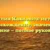Фамилия Кахнович: история, происхождение, значение и склонение — полное руководство
