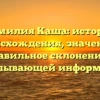 Фамилия Каша: история происхождения, значение и правильное склонение с исчерпывающей информацией
