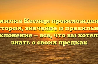 Фамилия Кеслер: происхождение, история, значение и правильное склонение — все, что вы хотели знать о своих предках Фамилия Кеслер: происхождение, история, значение и правильное склонение — все, что вы хотели знать о своих предках