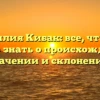 Фамилия Кибак: все, что вам нужно знать о происхождении, значении и склонении!