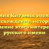 Фамилия Китаевы: исследуем происхождение, историю и склонение этого интересного русского имени