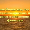 Фамилия Кноль: все, что нужно знать о происхождении, истории, значении и склонении этой фамилии