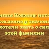 Фамилия Кобоков: история, происхождение и значение — все, что вы хотели знать о склонении этой фамилии
