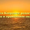 Фамилия Кобраков: родословная, значение и правильное склонение