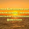 Фамилия Кобышева: история происхождения, значение и правильное склонение для фамилии