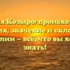 Фамилия Козыро: происхождение, история, значение и склонение фамилии — всё, что вы хотели знать!