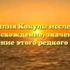 Фамилия Кокуль: исследуем происхождение, значение и склонение этого редкого имени