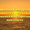 Фамилия Кольчугина: исследование происхождения и склонения в историческом контексте