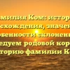 Фамилия Ком: история происхождения, значения и особенности склонения | Исследуем родовой корень и историю фамилии Ком