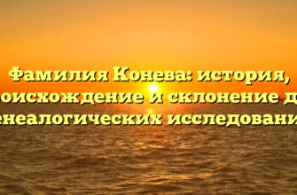 Фамилия Конева: история, происхождение и склонение для генеалогических исследований