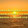 Фамилия Конопко: история, происхождение и склонение фамилии в одной статье!