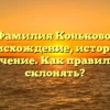 Фамилия Коньково: происхождение, история и значение. Как правильно склонять?
