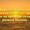 Фамилия Копыток: происхождение, история и значение на примере склонения в разных языках.