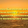 Фамилия Косоногов: история, происхождение и значения, а также правила склонения – все, что необходимо знать!