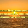 Фамилия Косухин: история происхождения, значение и правильное склонение