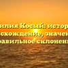 Фамилия Косый: история и происхождение, значение и правильное склонение