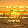 Фамилия Косюра: интересные факты о ее происхождении, истории и значении. Как правильно склонять фамилию Косюра?