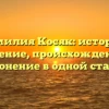 Фамилия Косяк: история, значение, происхождение и склонение в одной статье.