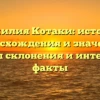 Фамилия Котаки: история происхождения и значения, способы склонения и интересные факты