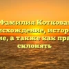 Фамилия Коткова: происхождение, история и значение, а также как правильно склонять