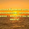 Фамилия Кромов: история возникновения, значения и склонение – все, что вы хотели знать!