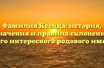 Фамилия Ксенда: история, значения и правила склонения этого интересного родового имени